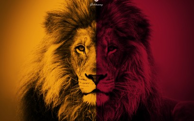 亚美电竞-三笘薰让英超认识亚洲技术